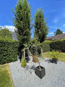Bild11