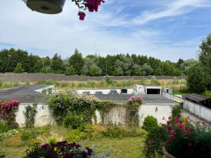 Bild5